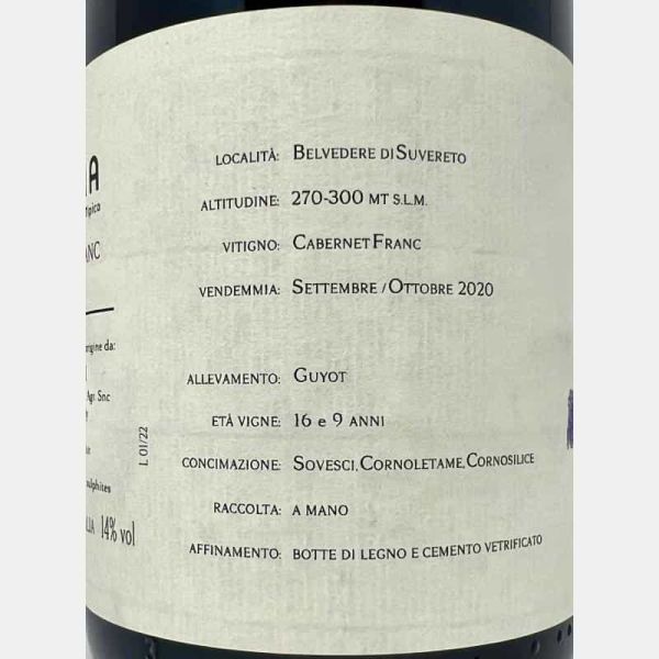 Cabernet Franc Toscana IGT 2020 - I Mandorli Cabernet Franc Toscana IGT 2020 - I Mandorli