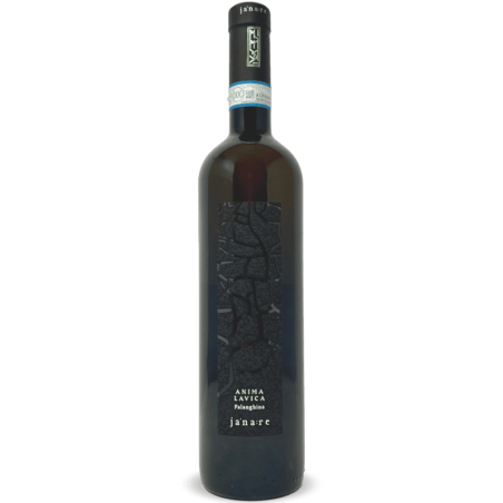 Falanghina del Sannio Janare Anima Lavica DOC 2022 - La Guardiense