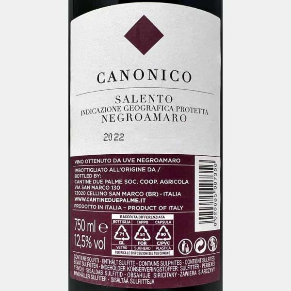 Negroamaro Canonico Salento IGP 2022 - Cantine Due Palme Negroamaro Canonico Salento IGP 2022 - Cantine Due Palme