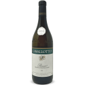 Pinner Bianco 2022 Bio - Cavallotto Pinner Bianco 2022 Bio - Cavallotto