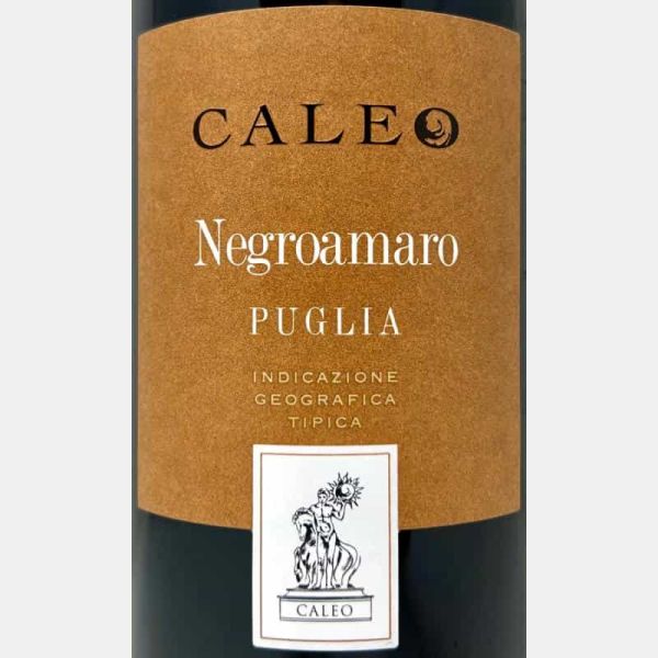 Negroamaro Puglia IGT 2021 - Caleo, Botter