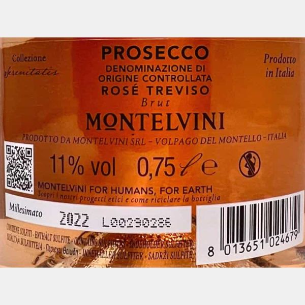 Prosecco Rosé Brut Millesimato Treviso DOC 2022 - Montelvini Prosecco Rosé Brut Millesimato Treviso DOC 2022 - Montelvini
