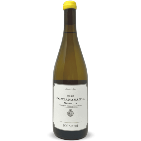 Nosiola Fontanasanta Vigneti delle Dolomiti IGT 2022 Bio - Elisabetta Foradori