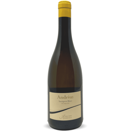 Sauvignon Blanc Andrius Alto Adige DOC 2022 - Cantina Andrian