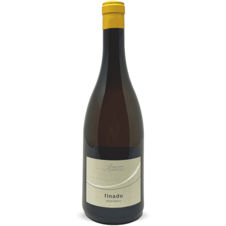 Pinto Bianco Finado Alto Adige DOC 2023 - Cantina Andrian