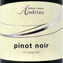 Pinot Noir Alto Adige DOC 2022 - Cantina Andrian Pinot Noir Alto Adige DOC 2022 - Cantina Andrian