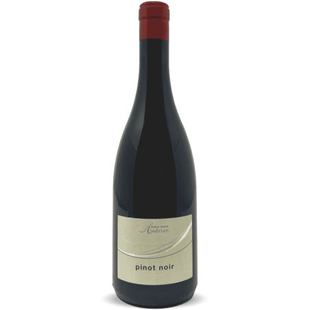 Pinot Noir Alto Adige DOC 2022 - Cantina Andrian