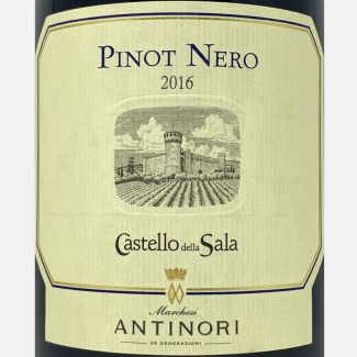 Pinot Nero Umbria IGT 2016...