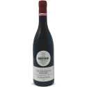 Valpolicella Ripasso Valpantena DOC 2020 - Bertani Valpolicella Ripasso Valpantena DOC 2020 - Bertani