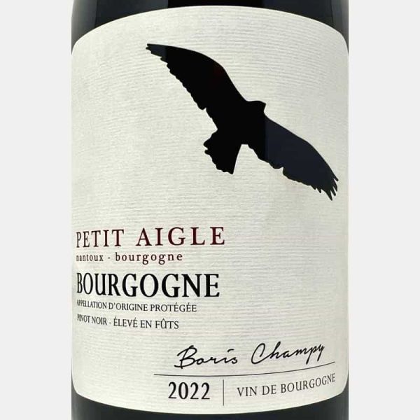 Bourgogne Pinot Noir Petit Aigle AOP 2022 Bio - Boris Champy Bourgogne Pinot Noir Petit Aigle AOP 2022 Bio - Boris Champy