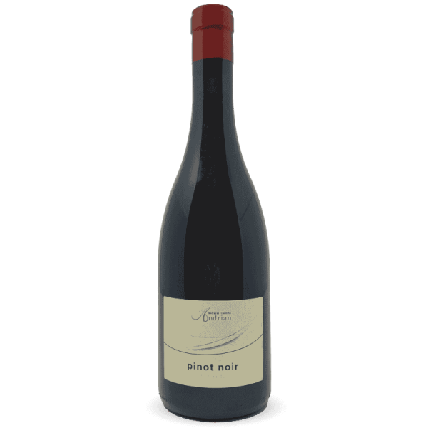 Pinot Noir Alto Adige DOC 2023 -...