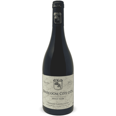Bourgogne Cote d'Or Pinot Noir AOC 2021 - Fabien Coche