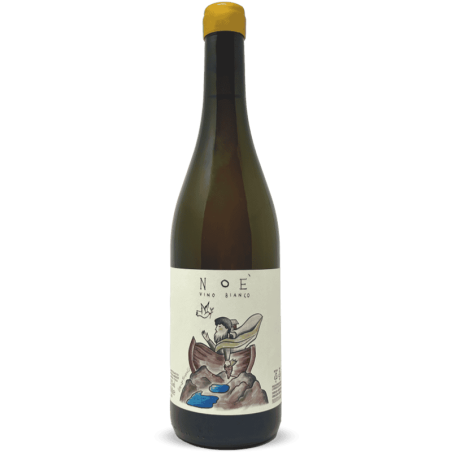 Pecorino Noè Vino Bianco 2020 - Stefano Amerighi