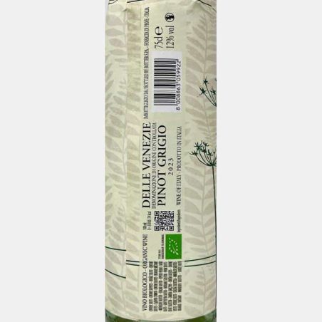 Pinot Grigio Delle Venezie DOC 2023 Bio - Botter