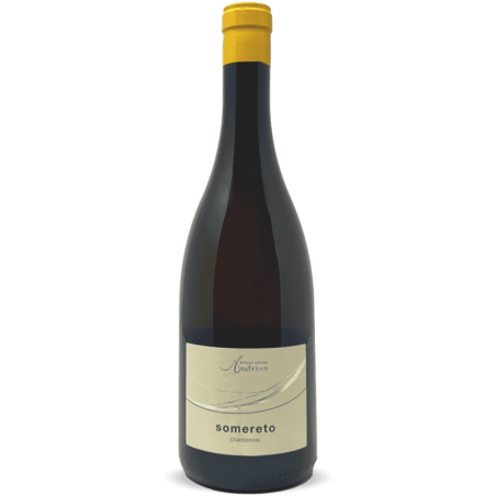 Chardonnay Somereto Alto Adige DOC 2023 - Cantina Andrian