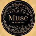 Rosé Muse de Miraval Cotes de Provence AOP 2020 Bio Magnum 1,5L - Pitt-Jolie & Famille Perrin Rosé Muse de Miraval Cotes de Provence AOP 2020 Bio Magnum 1,5L - Pitt-Jolie & Famille Perrin