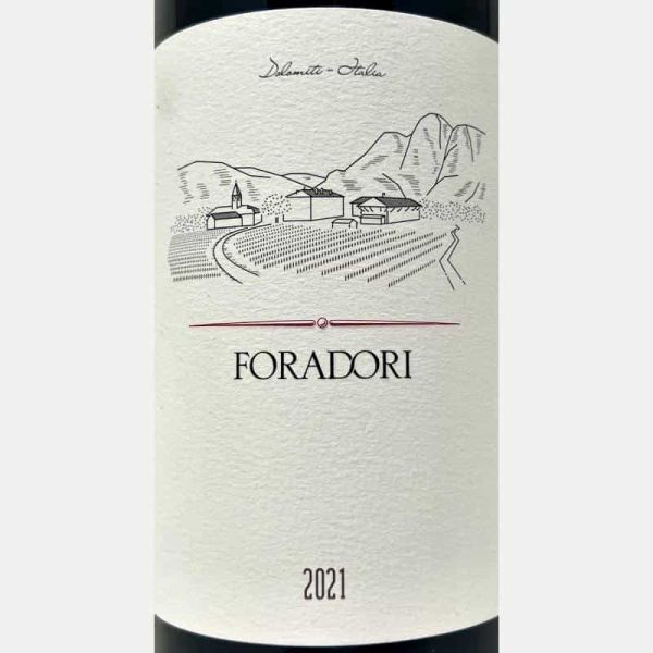 Teroldego Vigneti delle Dolomiti IGT 2021 Bio - Elisabetta Foradori