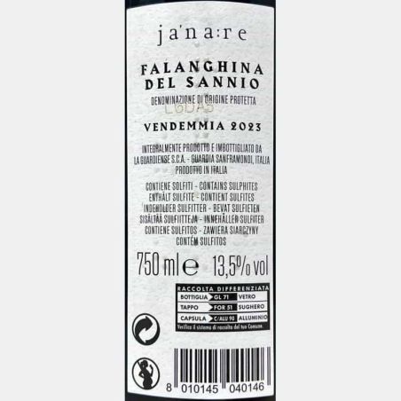 Falanghina del Sannio Janare Senete DOC 2023 - La Guardiense