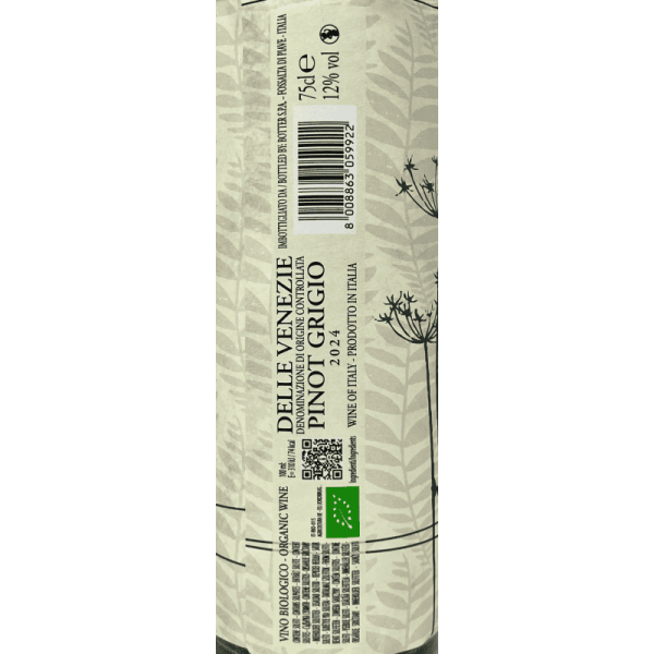 Pinot Grigio Delle Venezie DOC 2024...