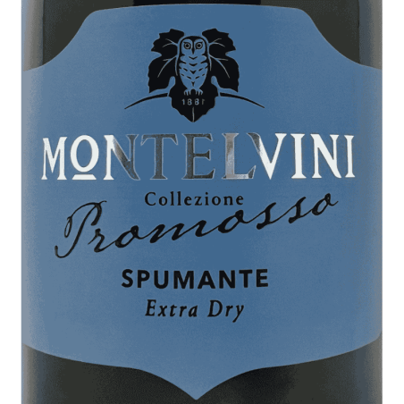 Spumante Promosso Extra Dry - Montelvini