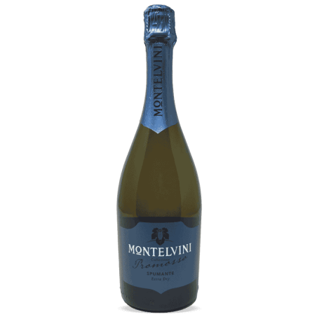 Spumante Promosso Extra Dry - Montelvini