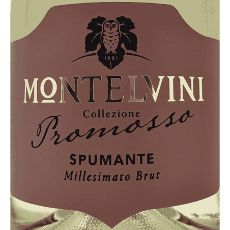 Spumante Promosso Millesimato Brut 2024 - Montelvini