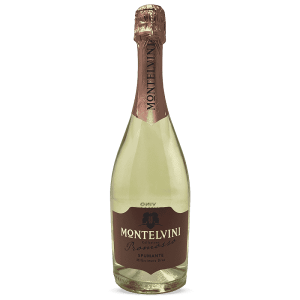 Spumante Promosso Millesimato Brut 2024 - Montelvini Spumante Promosso Millesimato Brut 2024 - Montelvini