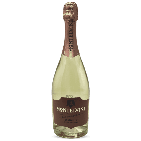 Spumante Promosso Millesimato Brut 2024 - Montelvini