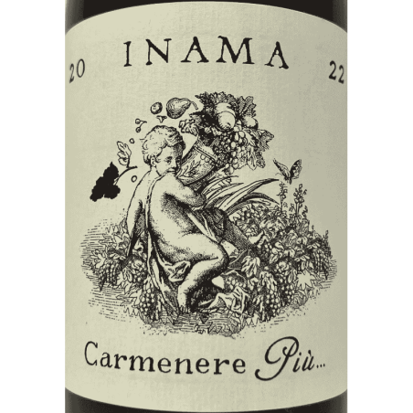 Carmenere Più Rosso Veneto IGT 2022 - Inama