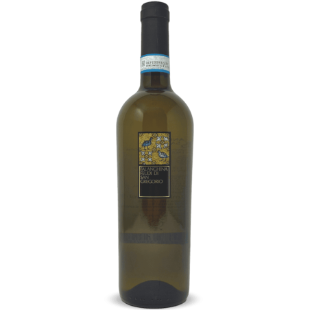 Falanghina del Sannio DOC 2024 - Feudi di San Gregorio
