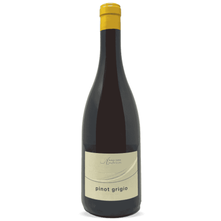 Pinot Grigio Alto Adige DOC 2023 - Cantina Andrian