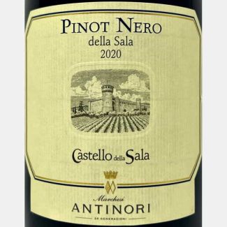 Pinot Nero Umbria IGT 2020...