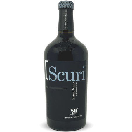 Pinot Nero Trevenezie IGT 2021 - Borgo Molino