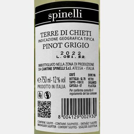 Pinot Grigio Terre di Chieti IGT 2022 - Spinelli