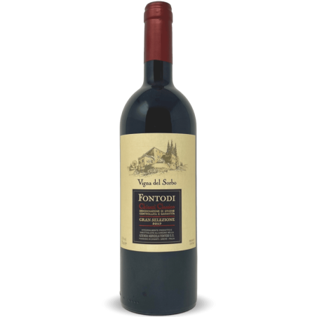 Chianti Classico Gran Selezione Vigna del Sorbo DOCG 2019 Bio - Fontodi
