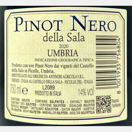 Pinot Nero Umbria IGT 2020 - Antinori Castello della Sala
