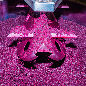 Castello del Terriccio foto 5