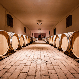 Castello del Terriccio foto 6